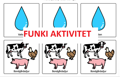 Funki Memory